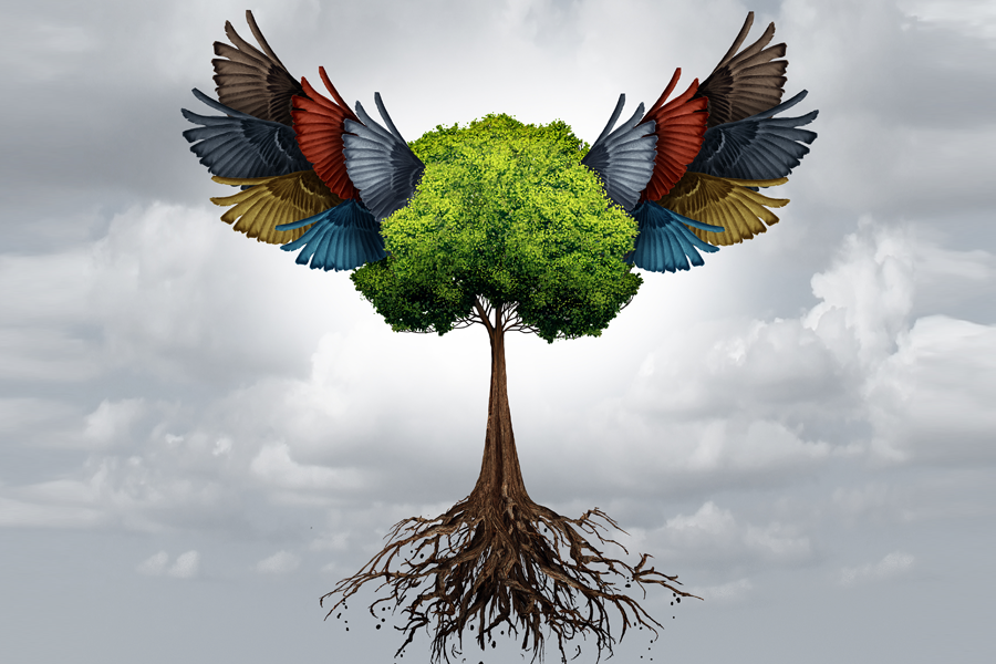 How marketers can press agencies to do better on diversity