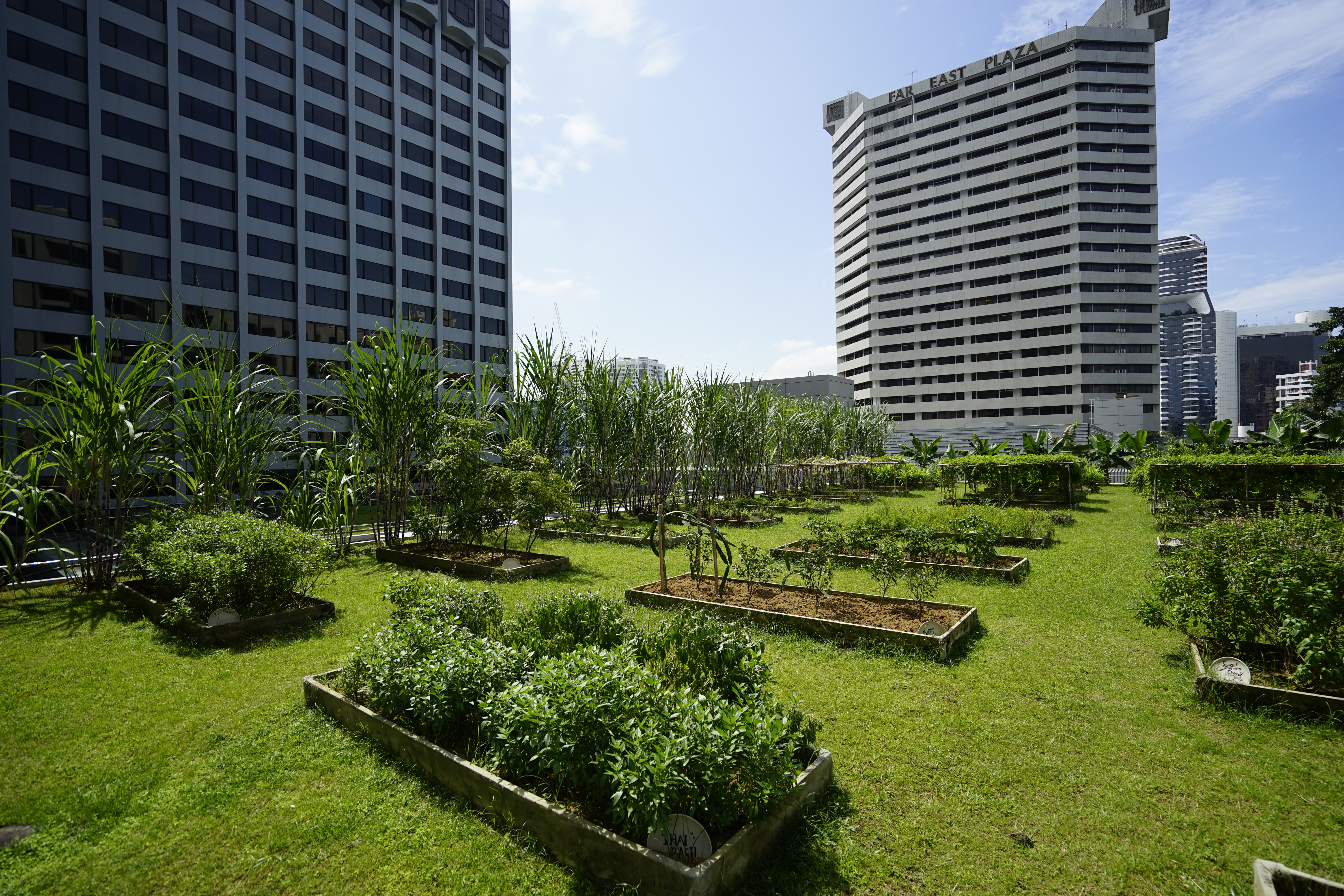 Grand Hyatt Singapore ups its green game