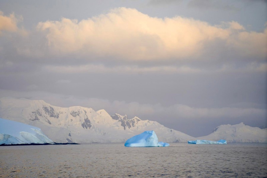 Ogilvy reflects on climate solutions through Antarctic expedition