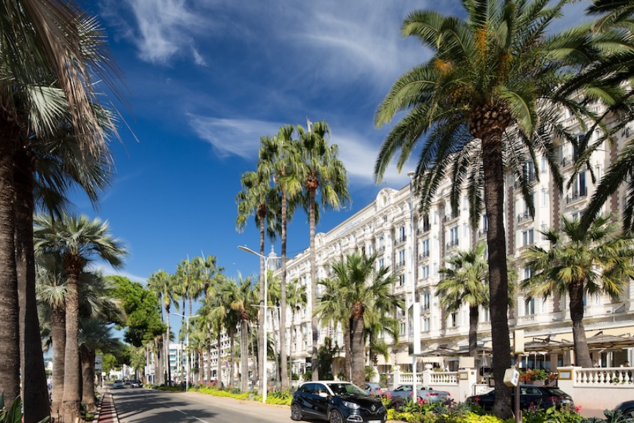 Cannes Lions launches creator network, learning programme