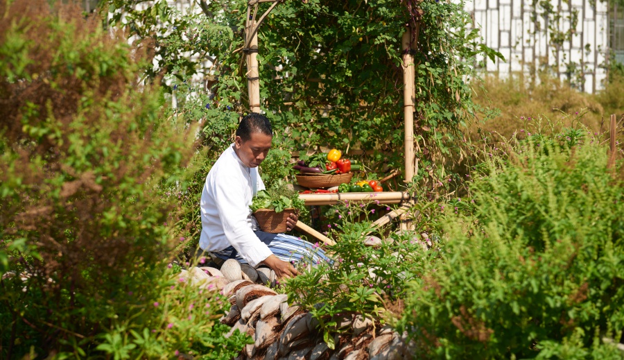 Alila gets serious about sustainability