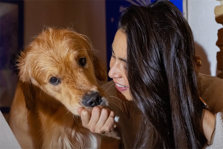 Airbnb slashes spend in permanent shift from performance marketing to brand