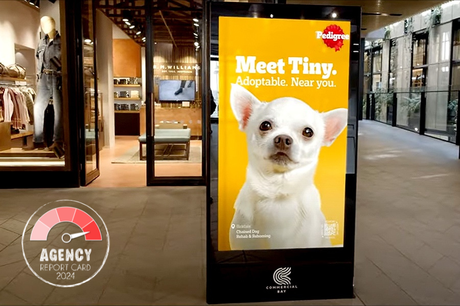 Agency Report Card 2024: EssenceMediacom