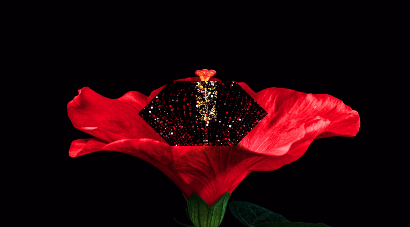 Superunion launches creative tool to help brands showcase their flexibility