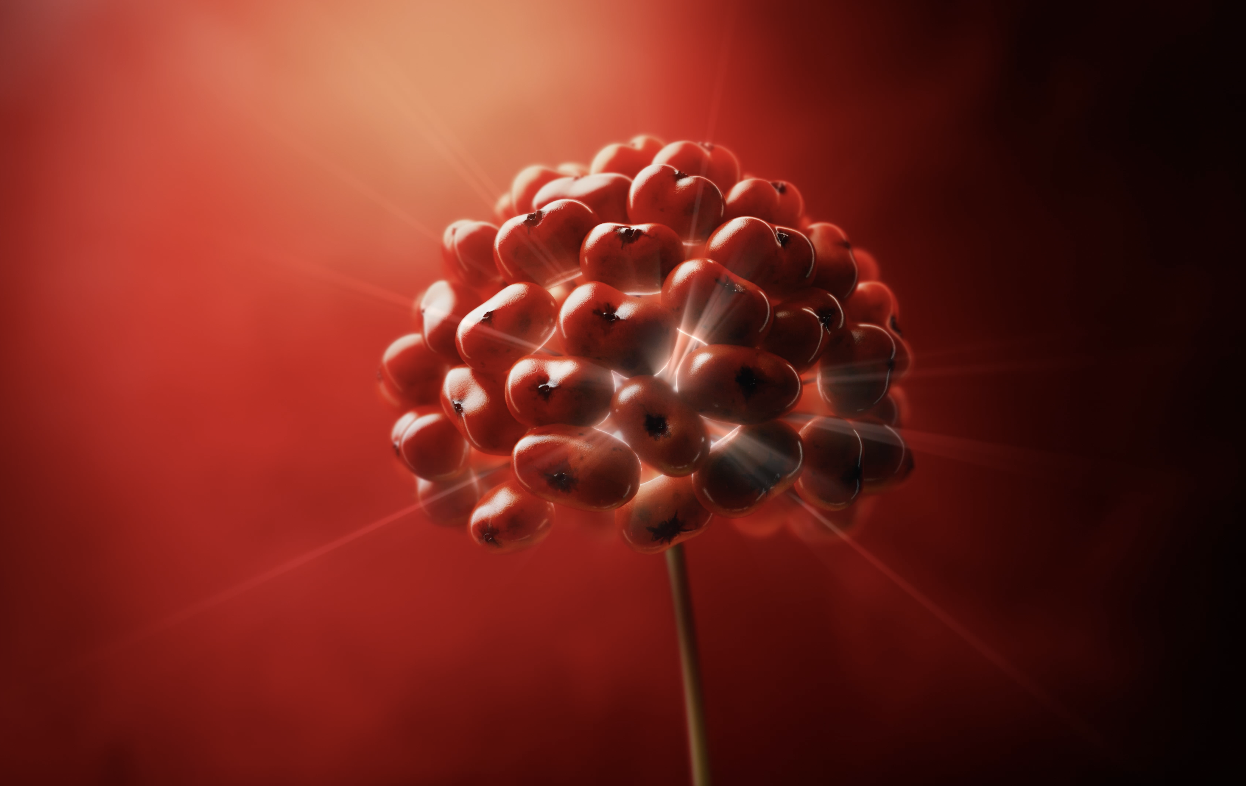 Sulwhasoo puts its innovative side on display in latest campaign 