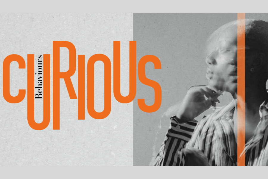 Instilling a culture of curiosity a challenge for marketing chiefs, says report