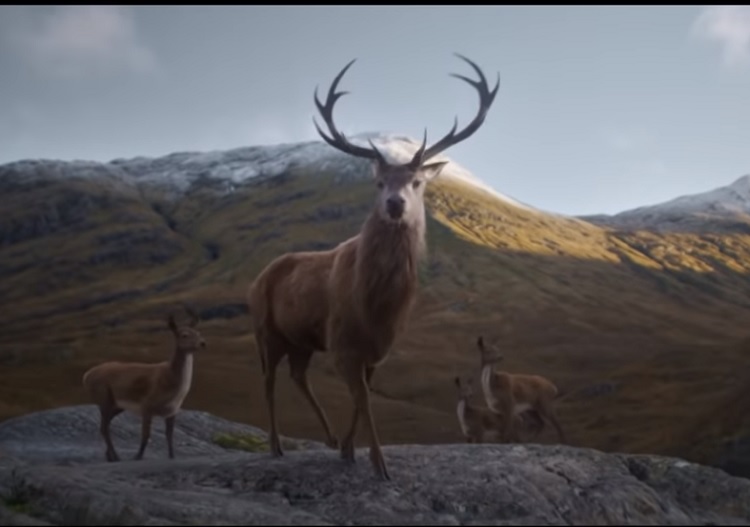 Glenfiddich asks 'where next' with story of stag in global campaign 