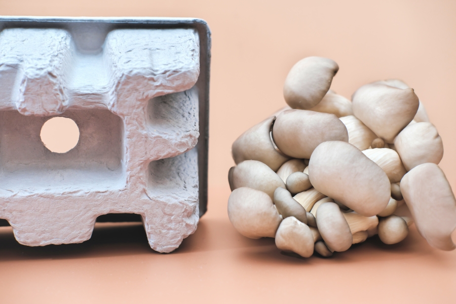 Not plastic: Organisations on a mission to make sustainable packaging mainstream