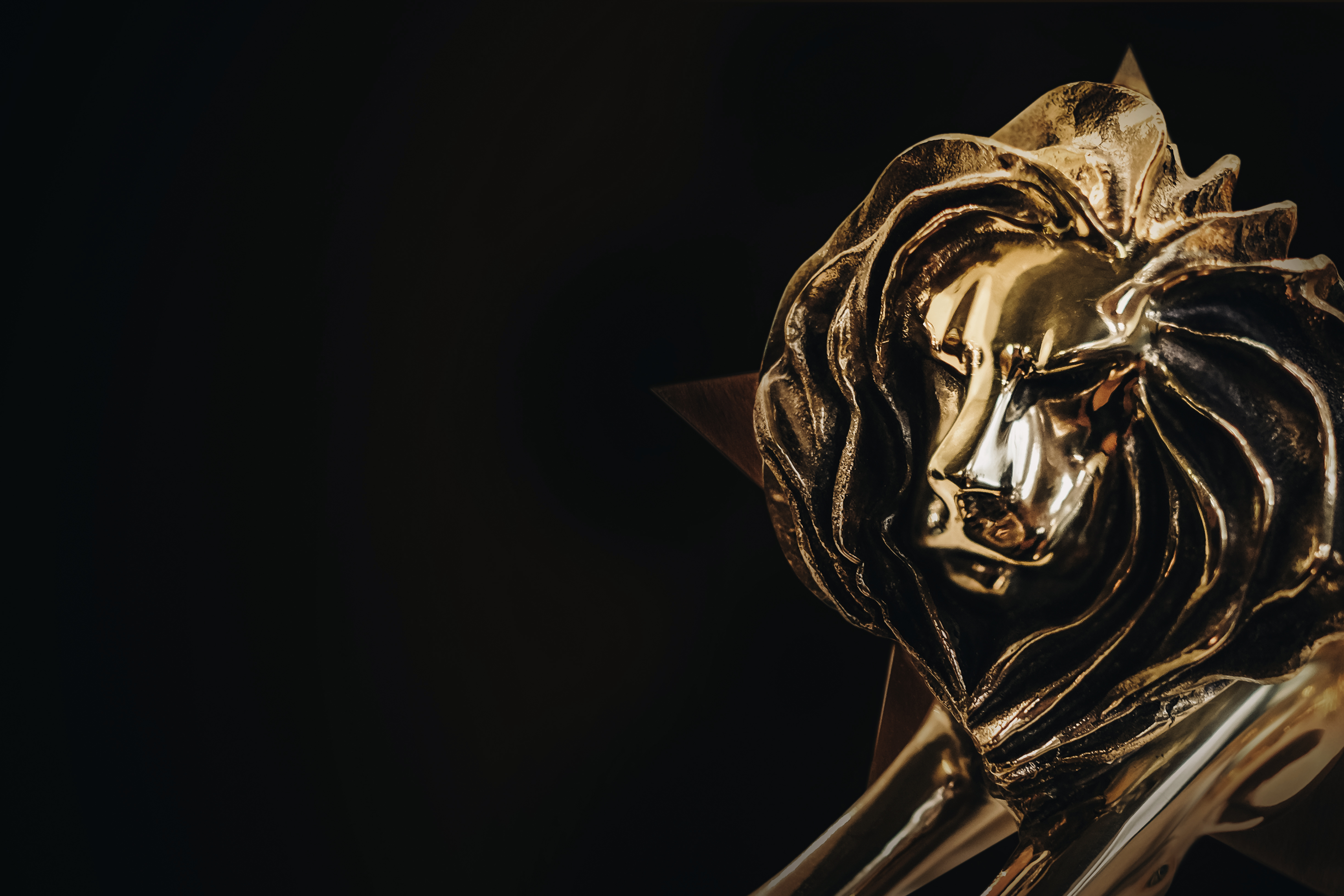 Still wondering where the Lions are